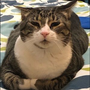 Meet your Posher, Elizabeth